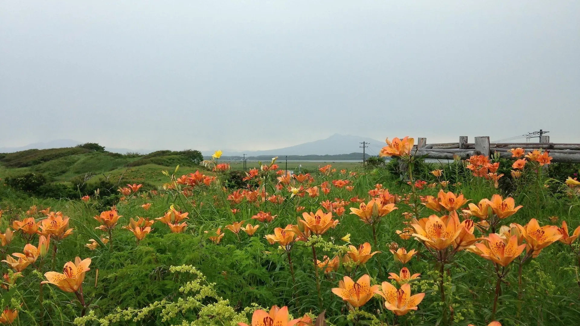 Koshimizu Hana Kotori Youth Hostel
