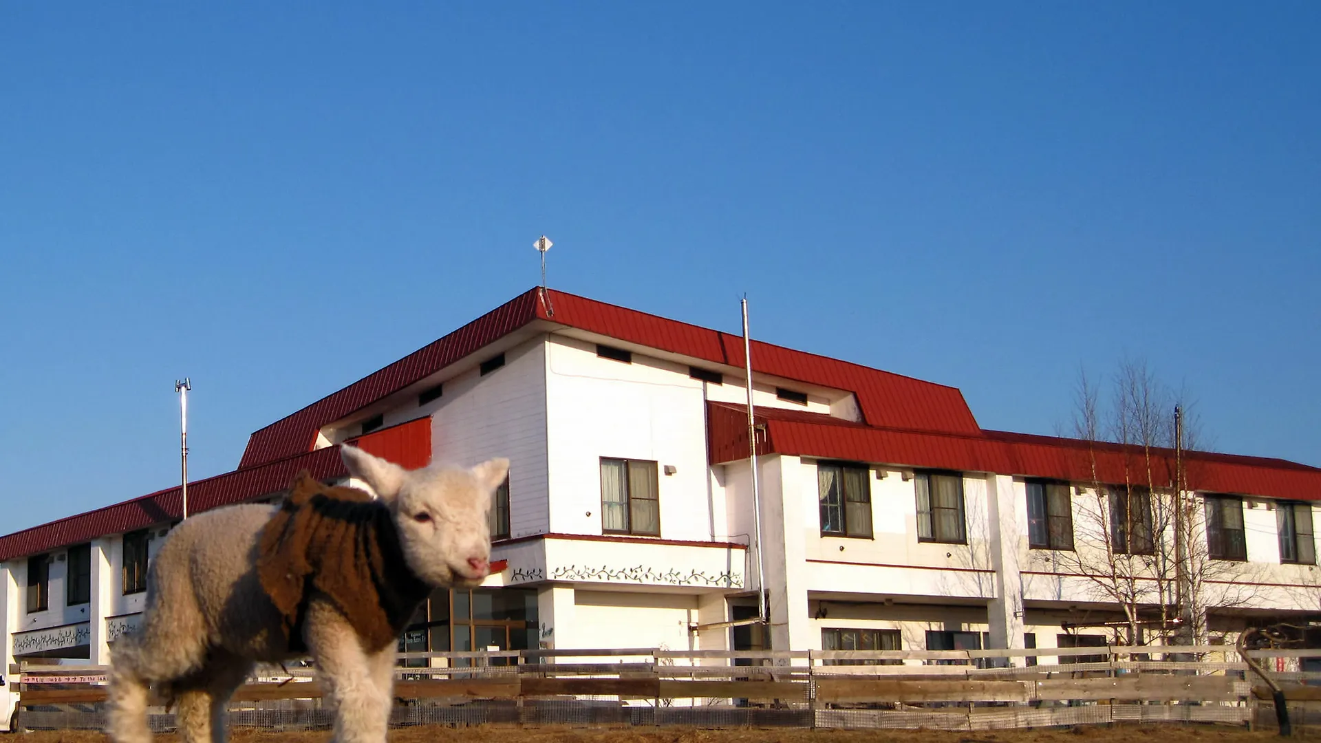 Koshimizu Hana Kotori Youth Hostel